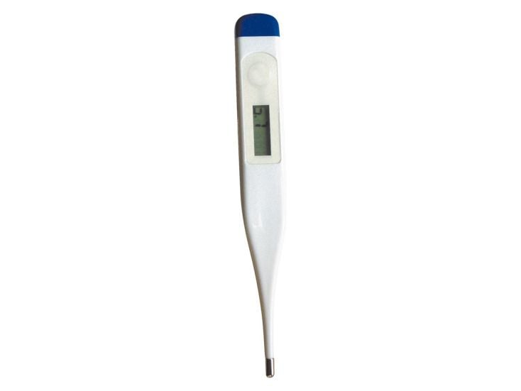 TravelSafe termometr cyfrowy