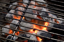 grill węglowy